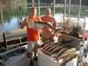 (07/08/2017) - Nice Striped Bass